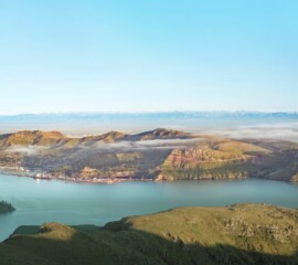 Port and Chch
